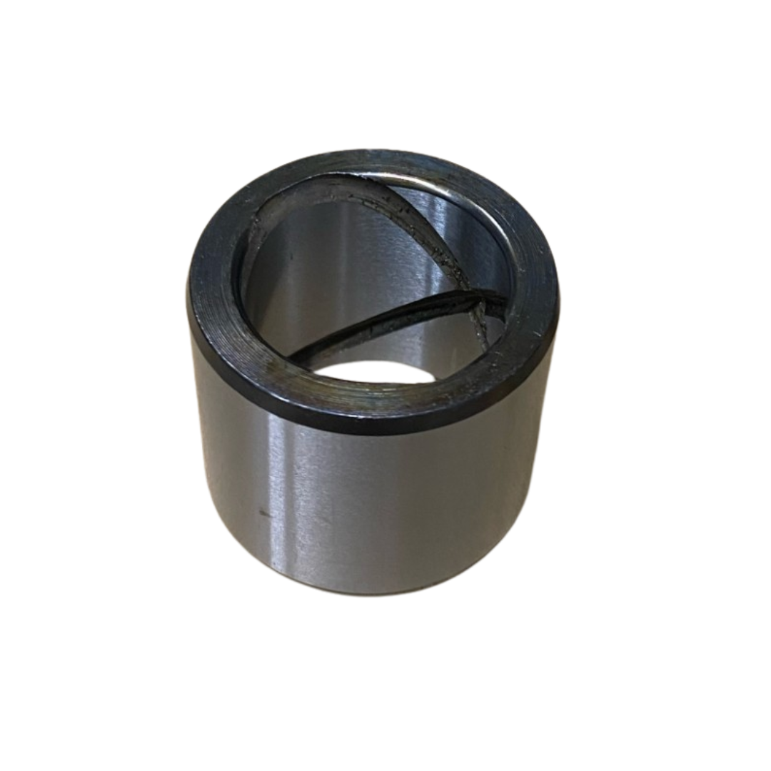 Takeuchi Bush (00024-00024)